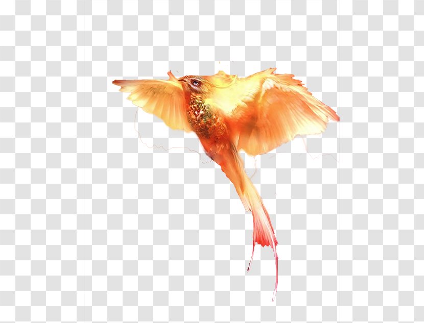 Vermilion Bird Download Computer File - Pixel - Flying Suzaku Transparent PNG