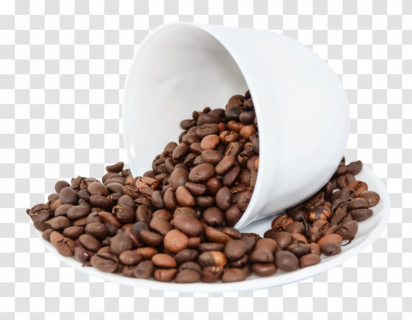 Coffee Bean Espresso Cappuccino Tea - Latte - Beans Transparent PNG