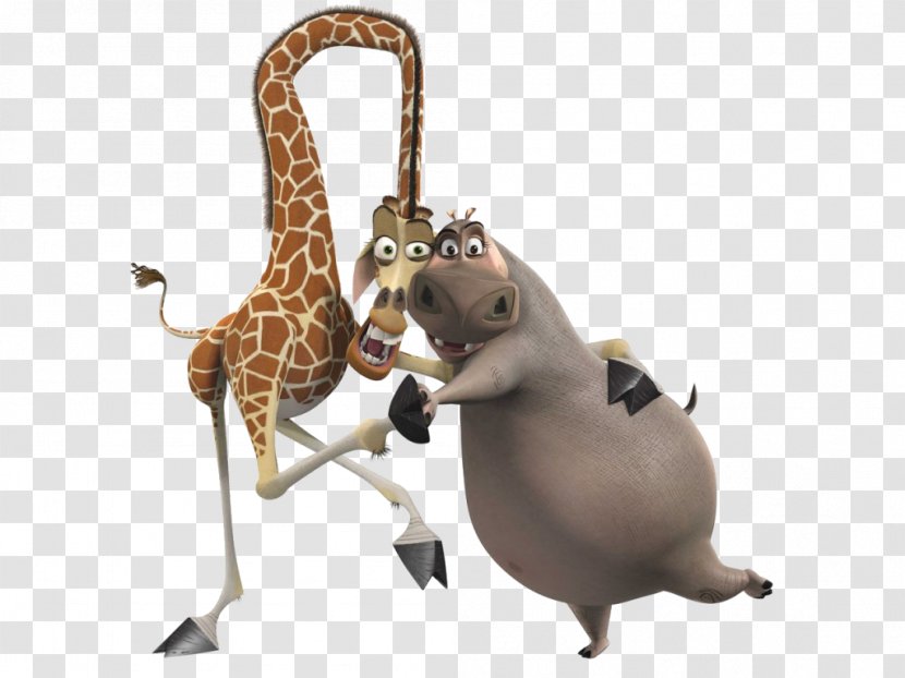 Giraffe Moto Noddy Melman Marty Transparent PNG