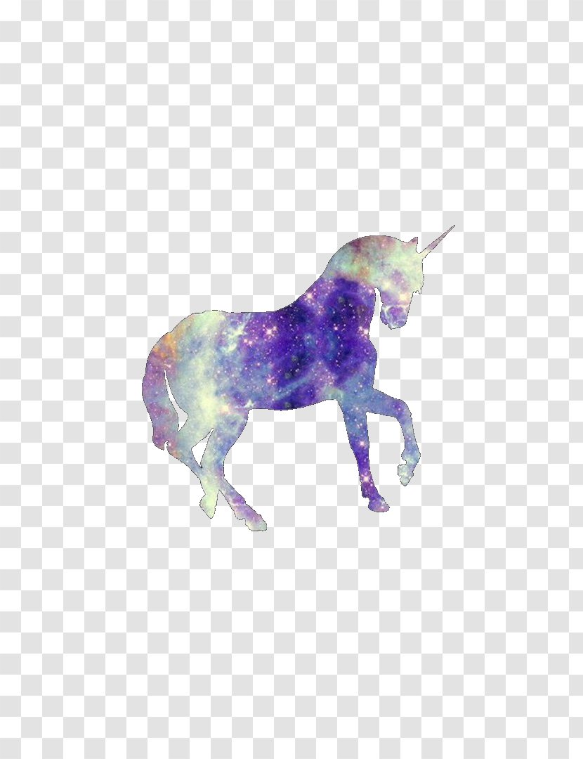 Unicorn Lock Screen Desktop Wallpaper - Fairy Tale Transparent PNG