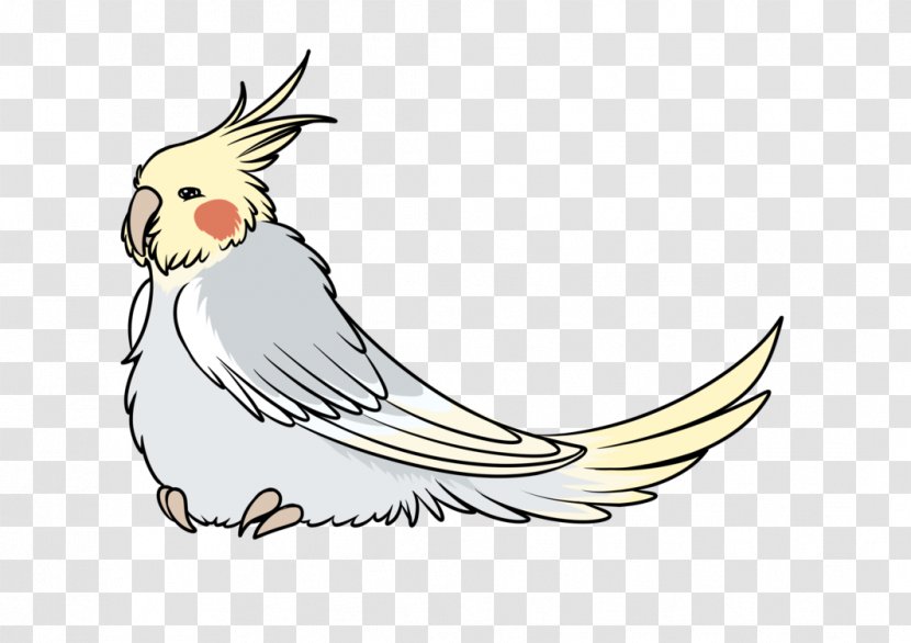 Clip Art Cockatiel GIF Bird Chicken - Wing Transparent PNG