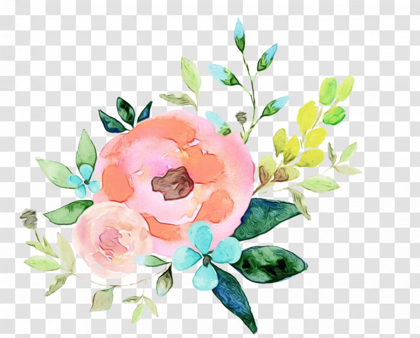 Watercolor Floral Background - Bouquet - Floristry Camellia Transparent PNG