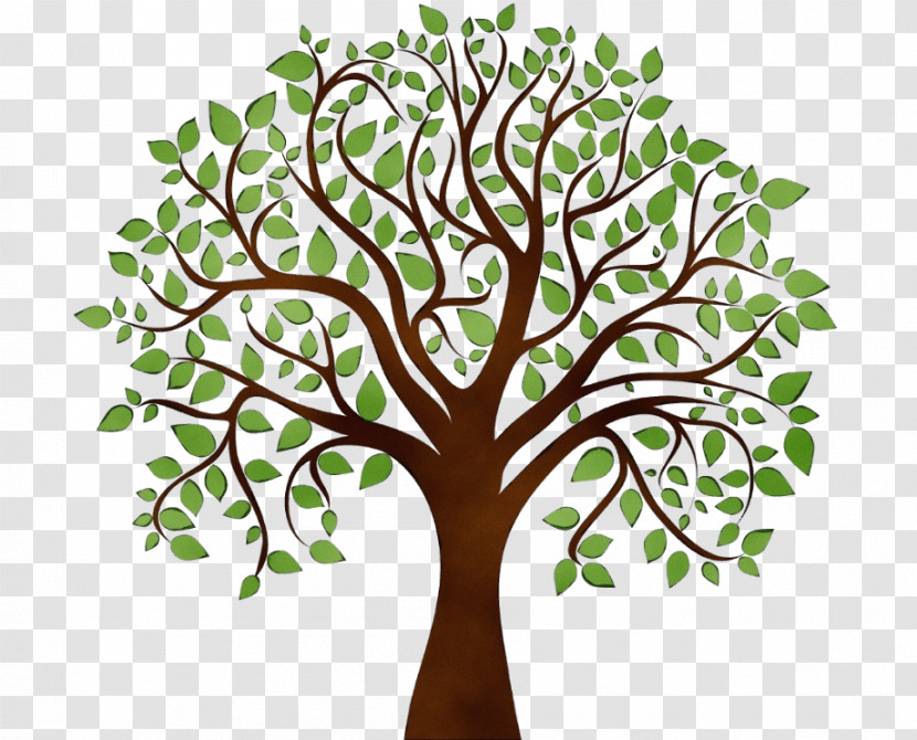 Tree Of Life Transparent PNG