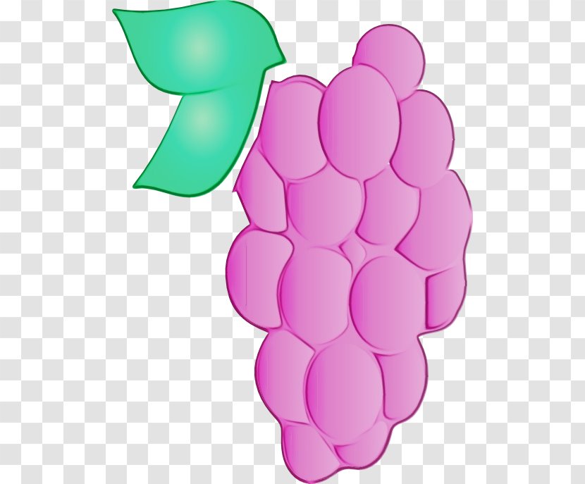 Grape Grapevine Family Clip Art Pink Vitis - Magenta - Fruit Plant Transparent PNG