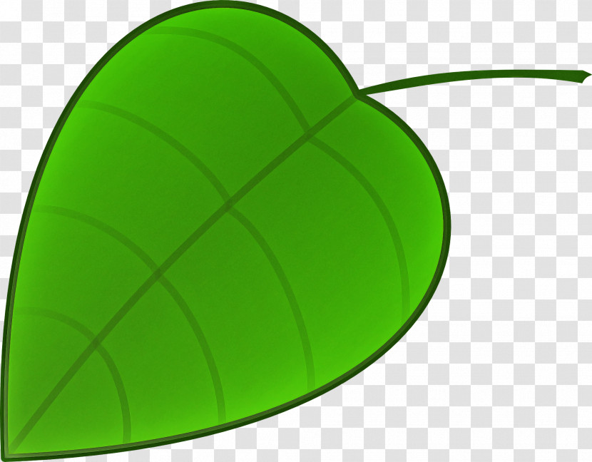 Leaf Green Plants Plant Structure Science Transparent PNG