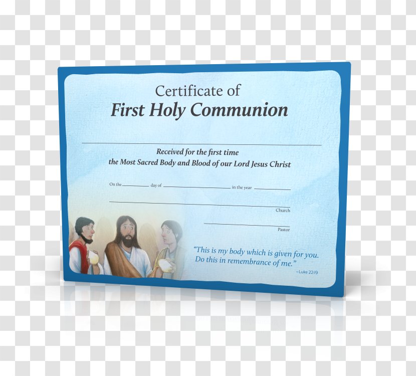 First Communion Eucharist Consecration Child - Catholic Church Transparent PNG