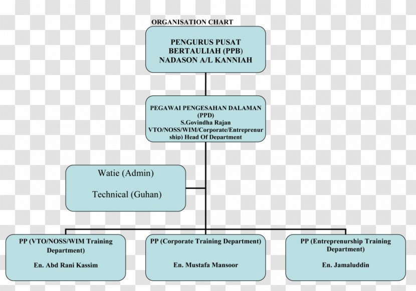 Organizational Chart Afacere Structure Afdeling - Organization - Organisasi Transparent PNG