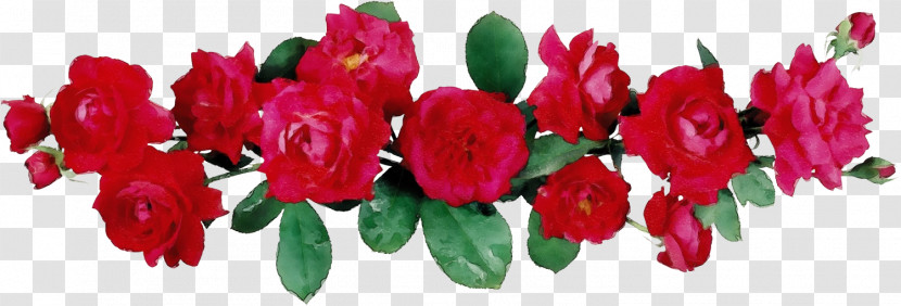 Garden Roses Transparent PNG