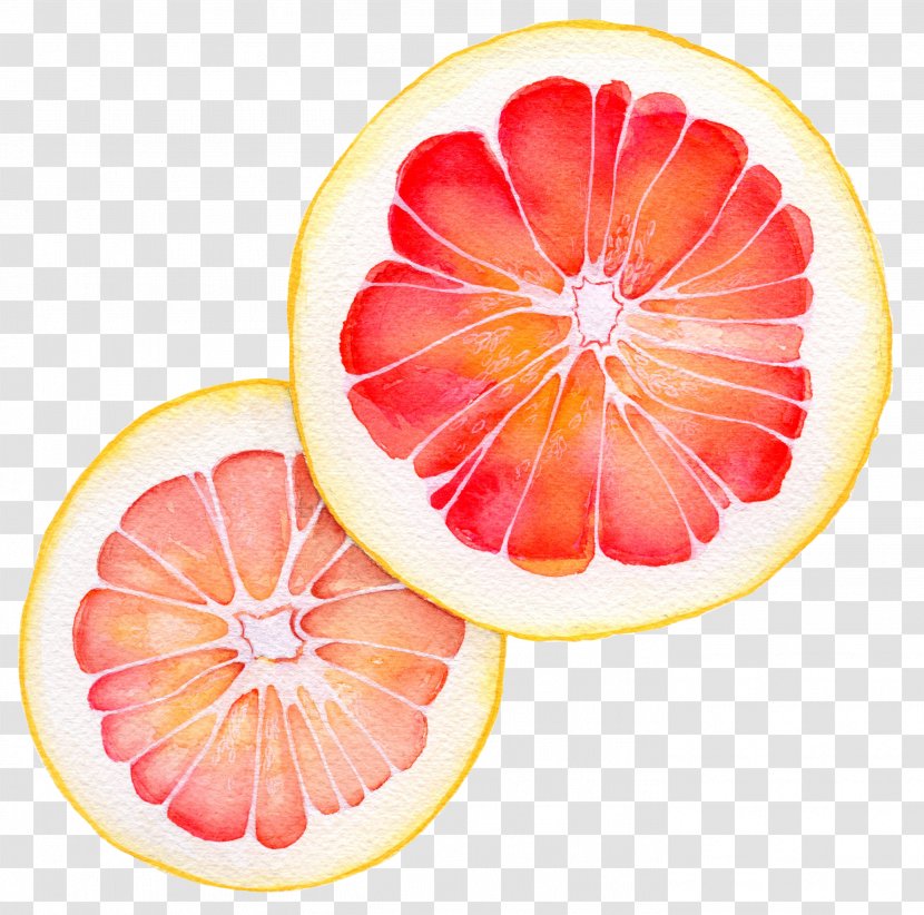 Grapefruit Juice Vegetarian Cuisine Pomelo Blood Orange Transparent PNG