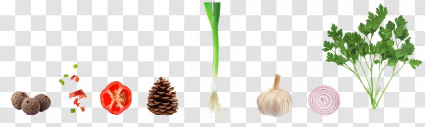 Vegetable Garlic Capsicum Annuum Onion - Designer - Material Transparent PNG