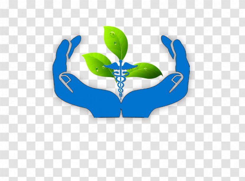 Medicine Alternative Health Services Shiatsu Health, Fitness And Wellness Therapy - Brand - Holistic Healing Transparent PNG