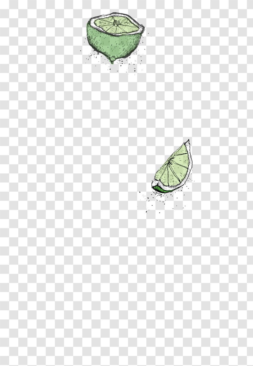 Festival Fast Food Party Catering - Grass Transparent PNG