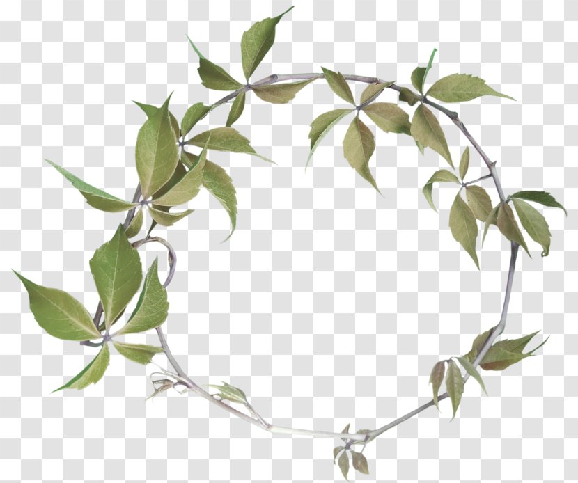 Clip Art Wreath Garland Flower - Tree - Branch Transparent PNG