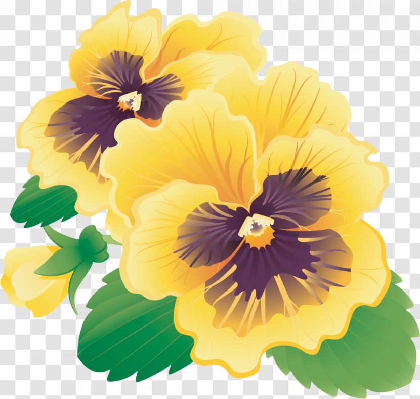 Pansy Clip Art - Petal - Yellow Transparent PNG