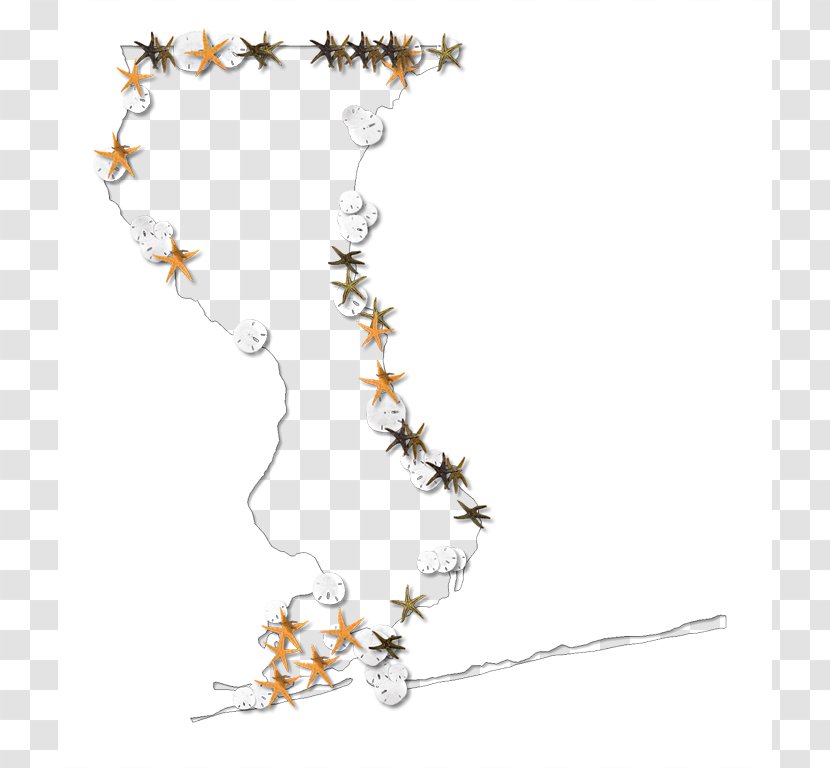 Necklace Jewelry Design Body Jewellery Flower - Art - Starfish Outline Transparent PNG