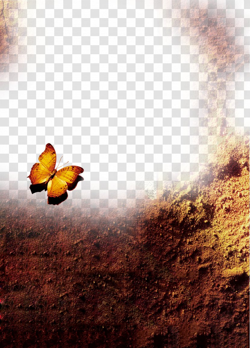 Butterfly Rain Download Weather - Misty Transparent PNG