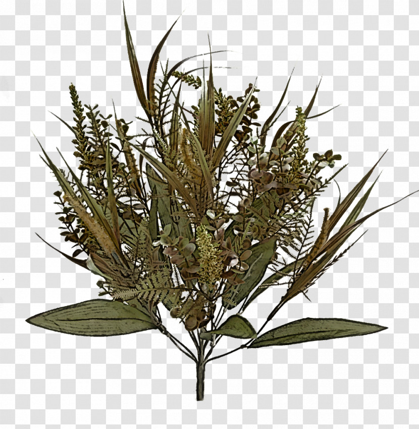 Grasses Tree Transparent PNG