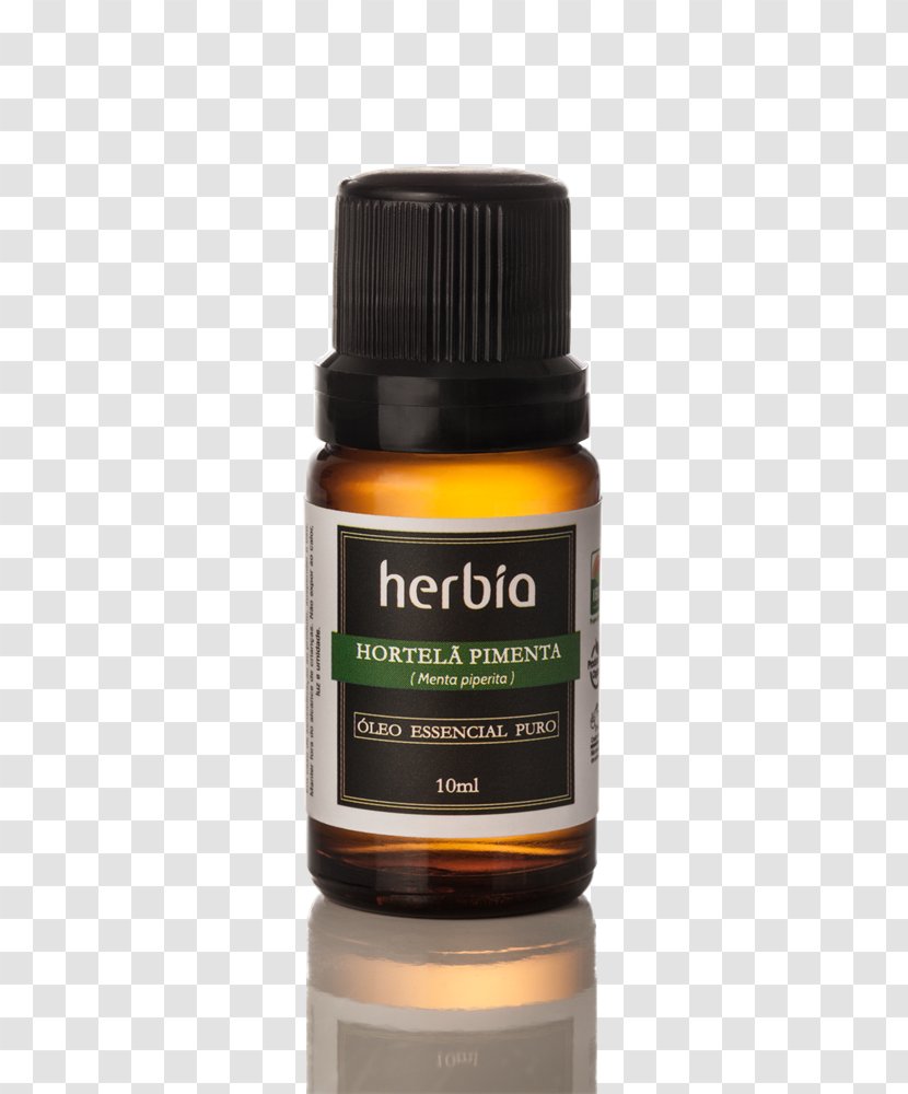 Narrow-leaved Paperbark Tea Tree Oil Essential Aromatherapy - Eucalyptol Transparent PNG