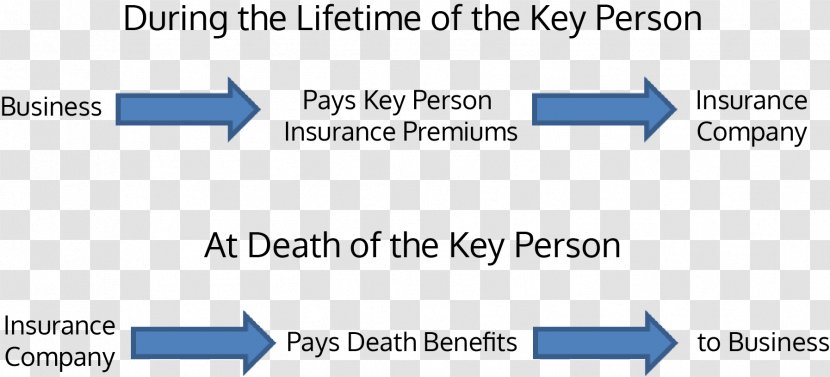 Key Person Insurance Tax Payment Policy - Diagram - Business Transparent PNG