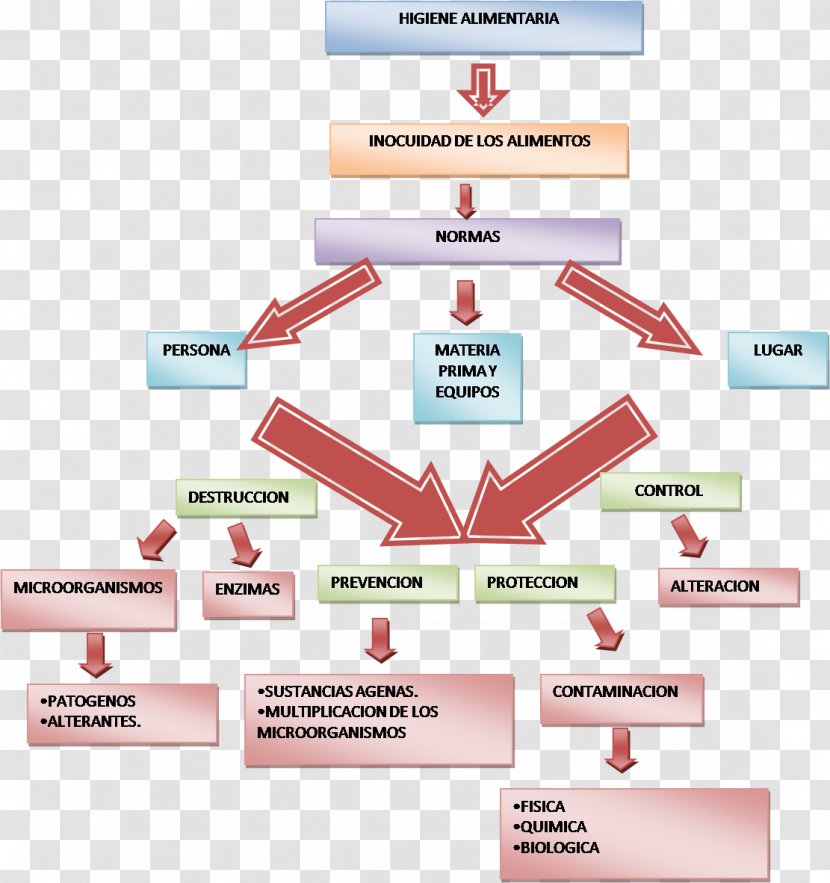 Food Safety Hygiene Manipulador De Alimentos Industry - Occupational And Health - Labor Transparent PNG