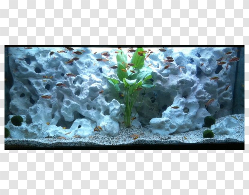 Aquariums Universal Rocks Aquarium Lighting Koi - Ornamental Fish - Crushed Stone Transparent PNG