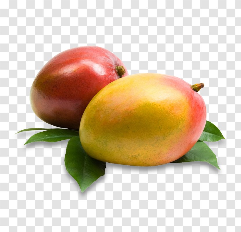 Juice Lassi Mango Fruit Produce - Mangifera Indica Transparent PNG