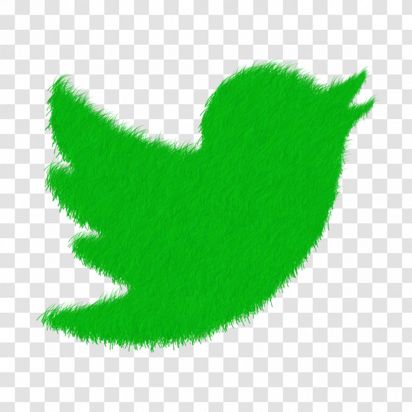 Social Media Logan YouTube Facebook - Green - Chilli Transparent PNG
