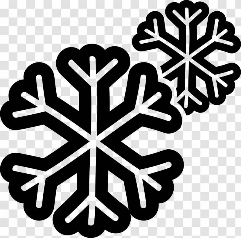 Snowflake - Plant Transparent PNG