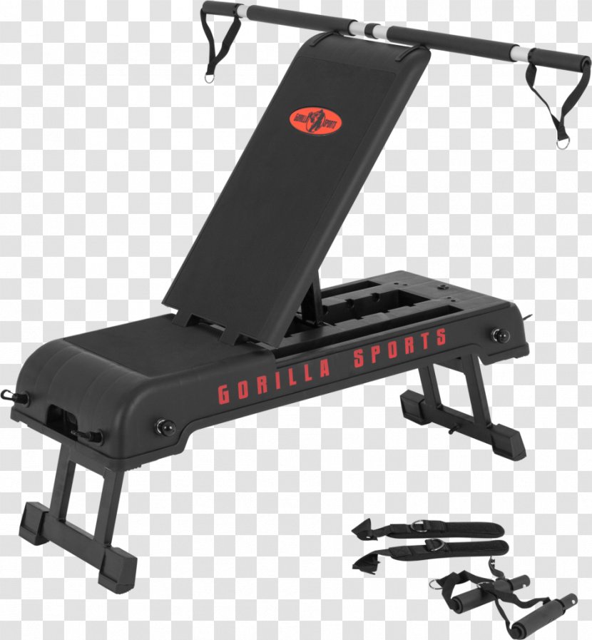 Bench Strength Training Exercise Aerobics - Gorilla Logo Transparent PNG