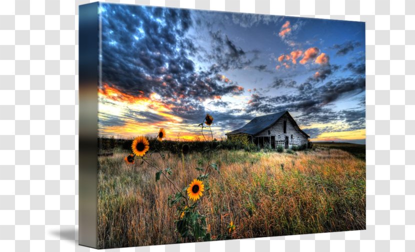 Painting Artist's Statement Prairie Engineering Desktop Wallpaper - Field - Old Barn Transparent PNG