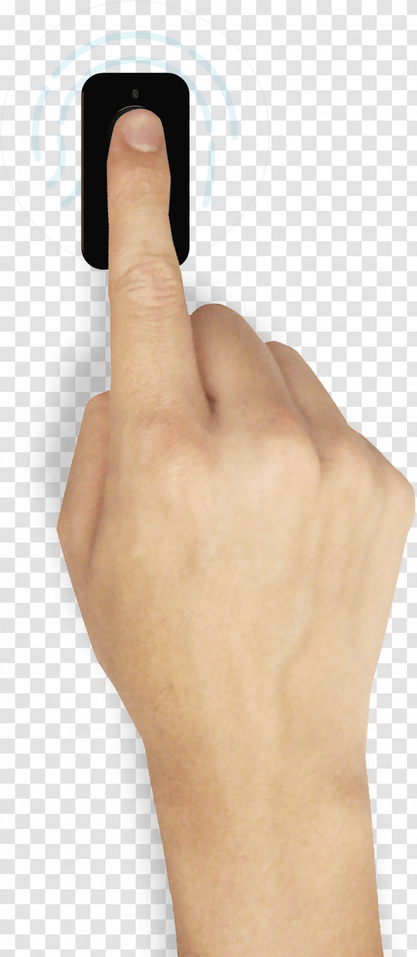 Thumb Hand Model Nail - Arm Transparent PNG