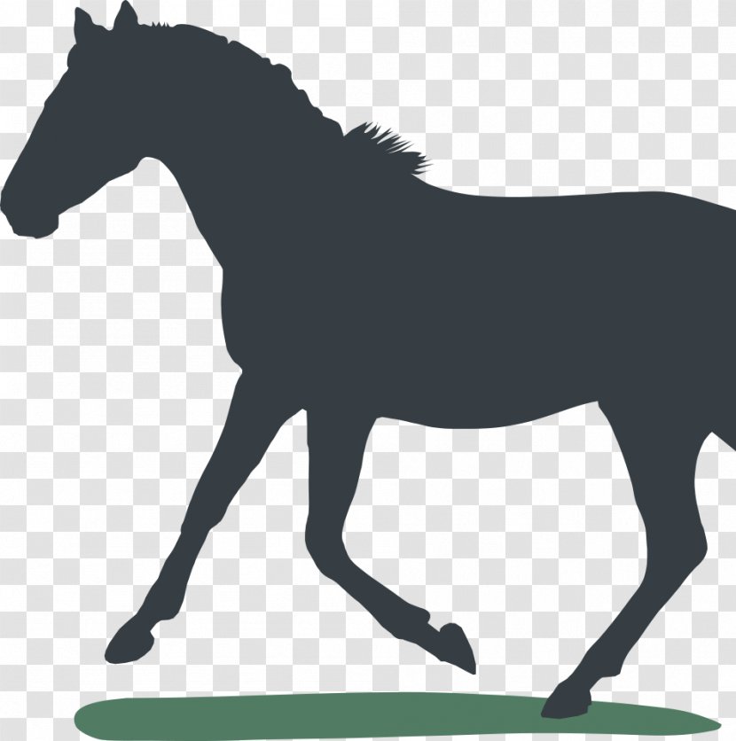 Horse Equestrian Pony T-shirt Gift - Clothing Transparent PNG
