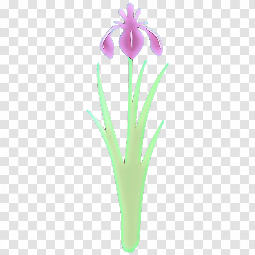 Flower Plant Violet Iris Petal Transparent PNG