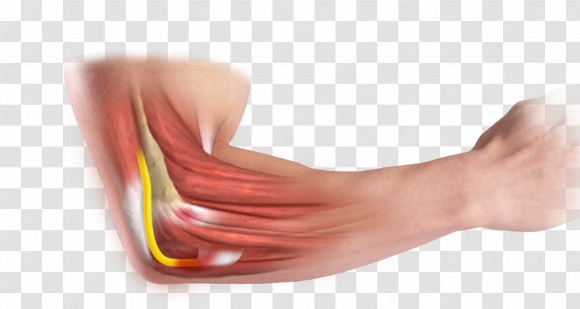 Thumb Cubital Tunnel Ulnar Nerve Entrapment Carpal Syndrome - Watercolor - Arm Transparent PNG