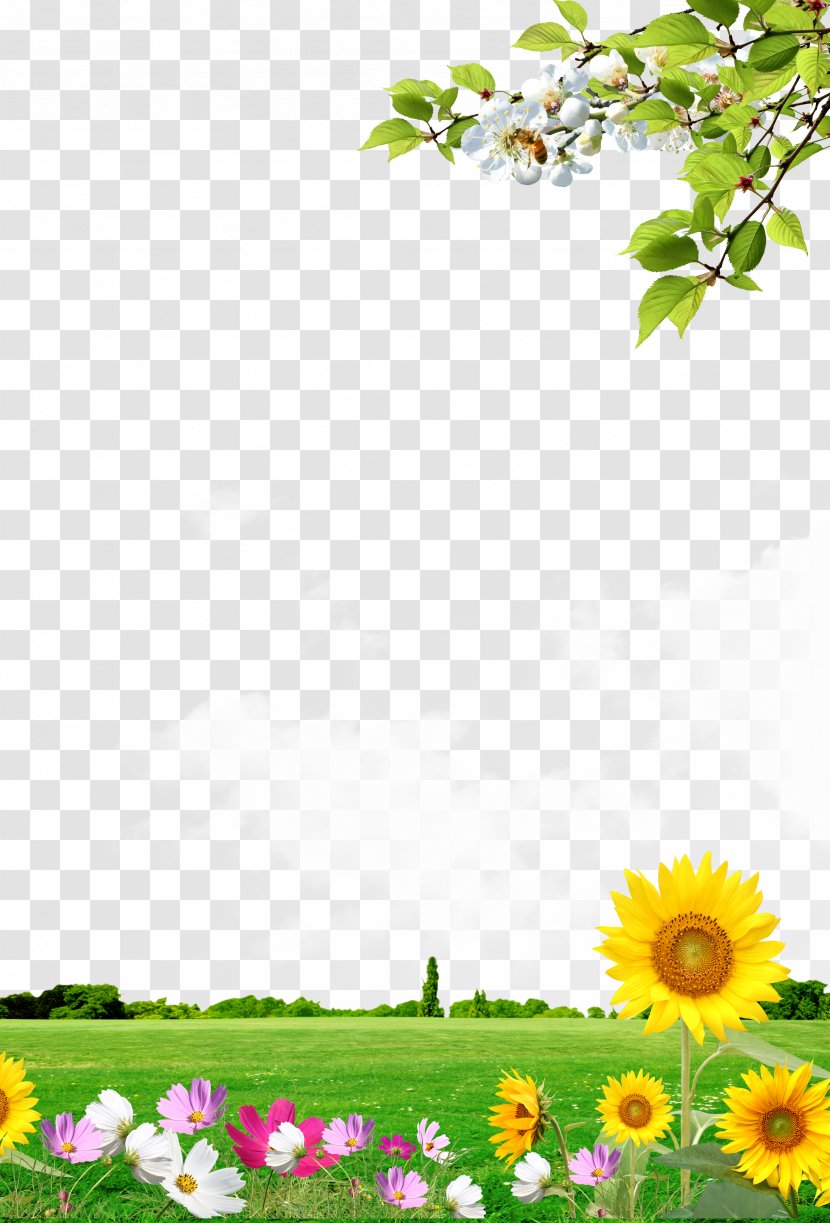 Background Scenery Panels - Floristry - Wallpaper Transparent PNG