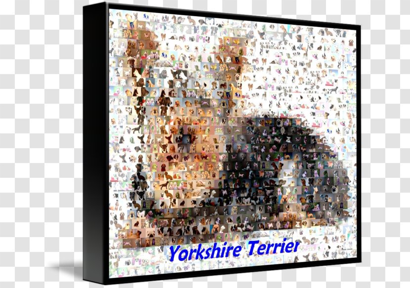 Art - Yorkshire Terrier Transparent PNG