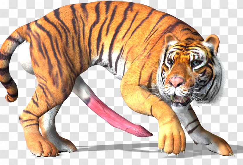 Tiger Big Cat Wildlife Animal - Figure - 3d Transparent PNG