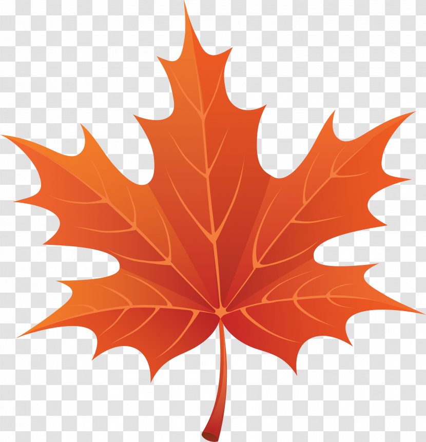 Maple Leaf Clip Art - Autumn Fall Leaves Transparent PNG