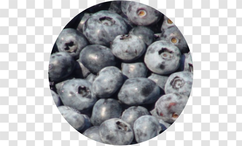 Blueberry Bilberry Superfood Prune Pruning Transparent PNG