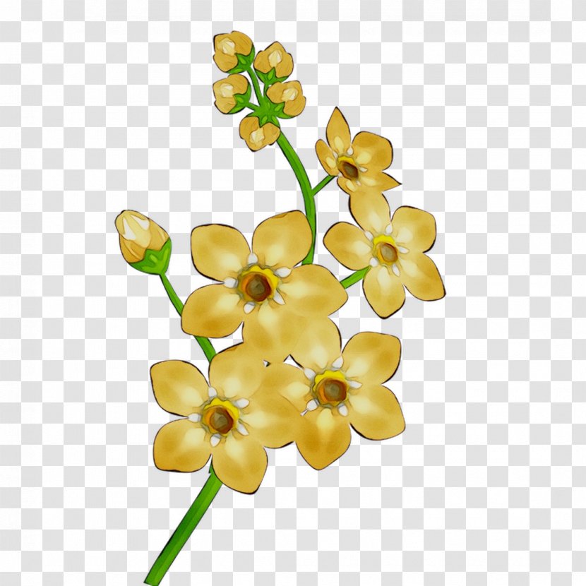 Cut Flowers Body Jewellery Human - Plant Transparent PNG