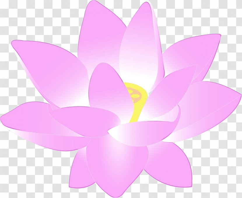 Clip Art Free Content Nymphaea Nelumbo Openclipart - Magenta - Proteales Transparent PNG