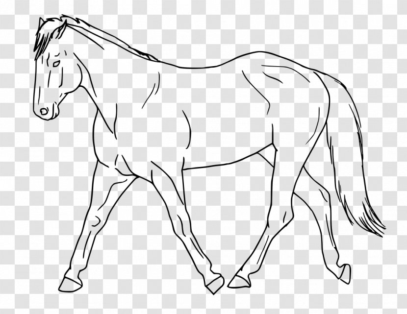 Mule Mustang Foal Stallion Clip Art - Wing Transparent PNG