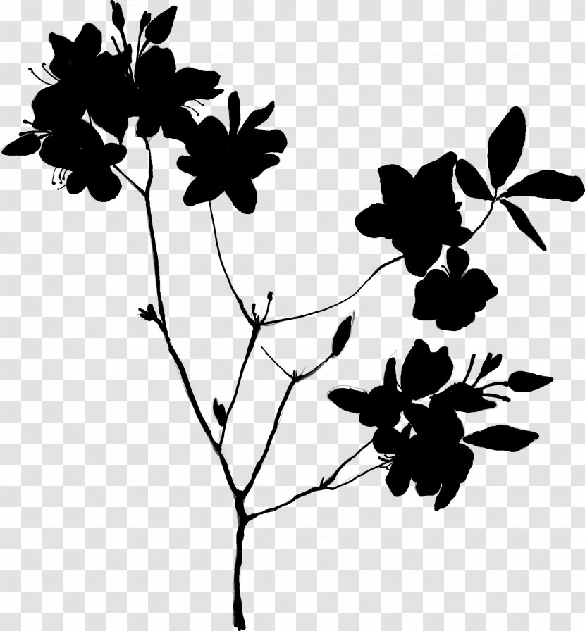 Twig Leaf Plant Stem Clip Art Pattern - Wildflower Transparent PNG