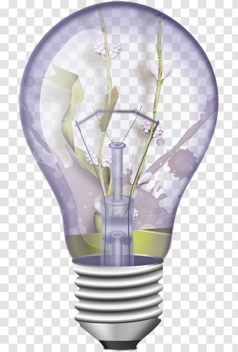 Incandescent Light Bulb - Image Editing Transparent PNG