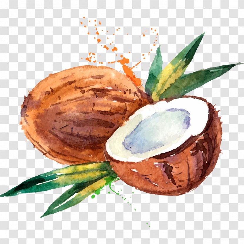 Coconut Water Milk Watercolor Painting - Stock Photography - Hand-painted Transparent PNG