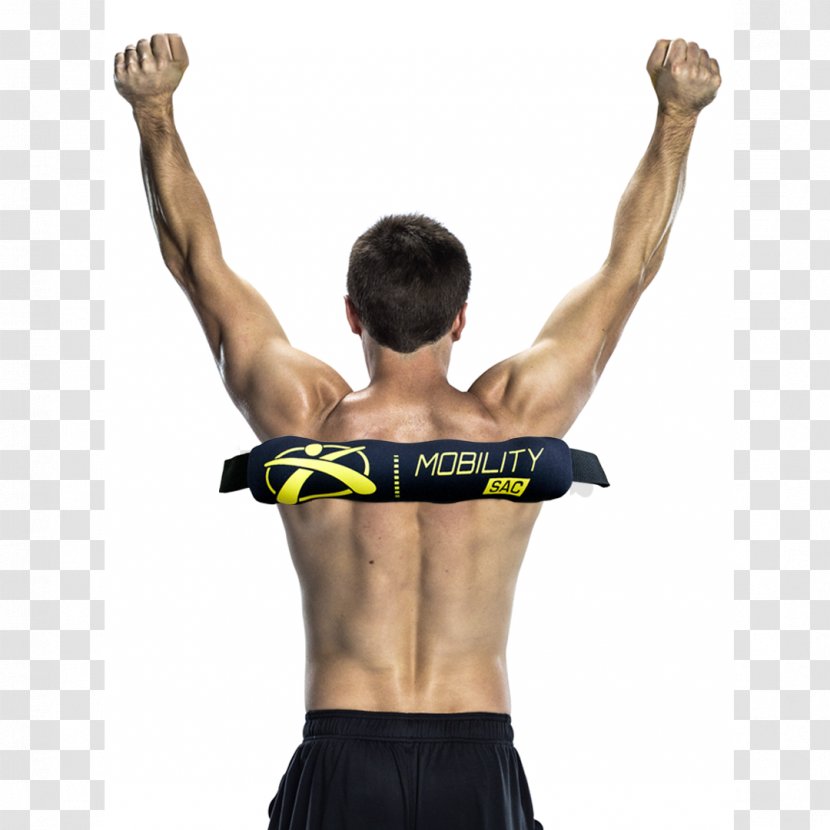Muscle Symmetry Flexibility Bodybuilding Warming Up - Silhouette - Cartoon Transparent PNG