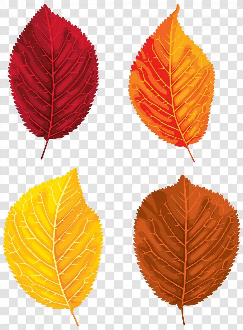 Santa Claus Autumn Leaf Color Clip Art - Plant - Fall Leaves Set Clipart Image Transparent PNG