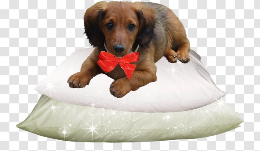 Dachshund Dog Breed Puppy Companion Clip Art Transparent PNG
