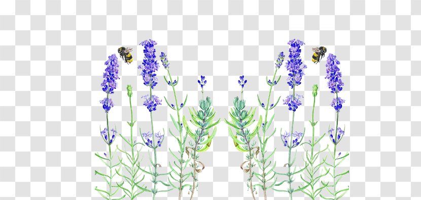 English Lavender Flower Teacup Honey Bee Milliliter - Busy Picture Material Transparent PNG