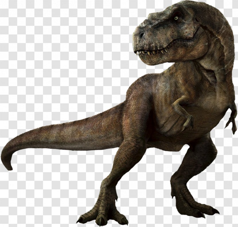Tyrannosaurus Rex Dinosaur Velociraptor Triceratops - Jurassic - Park HD Transparent PNG